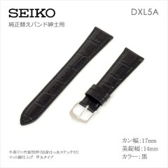 Seiko BAND 17MM DXL5A