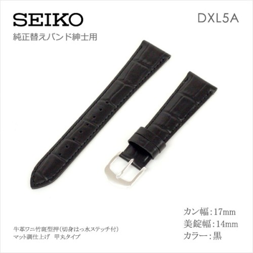 Seiko BAND 17MM DXL5A