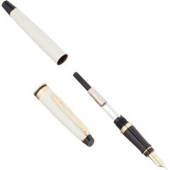 Waterman Fountain Pen Expert Fine Point Ivory 18k Nib 2103839