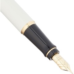 Waterman Fountain Pen Expert Fine Point Ivory 18k Nib 2103839