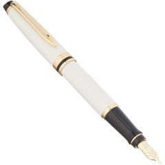 Waterman Fountain Pen Expert Fine Point Ivory 18k Nib 2103839