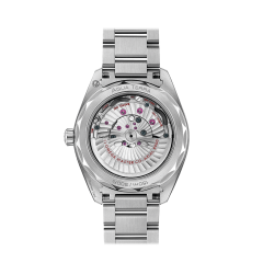 Omega Seamaster Aqua Terra 150M Master Chronometer 220.10.41.21.03.004