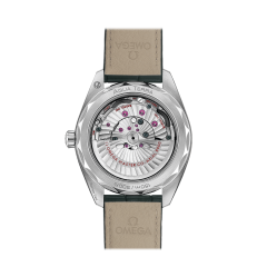 Omega Seamaster Aqua Terra 150M Master Chronometer 220.13.41.21.10.001