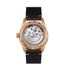 Omega Seamaster 300 Master Chronometer 234.92.41.21.10.001