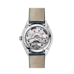 Omega De Ville Tresor Master Chronometer Small Seconds 435.13.40.21.03.002