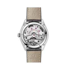 Omega De Ville Tresor Master Chronometer Small Seconds 435.13.40.21.06.001