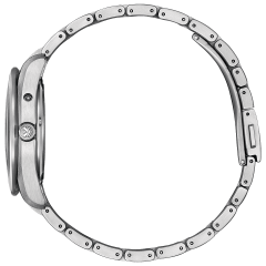 Citizen The Citizen Eco-Drive AQ1050-50W