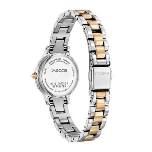 Citizen Wicca Solar Radio KS1-937-13