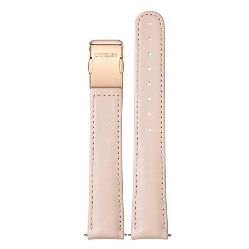 Citizen Collection Limited Edition PC1017-70Y