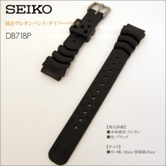 Seiko 18MM BAND DB71BP