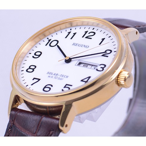 Citizen REGUNO KH5-421-90