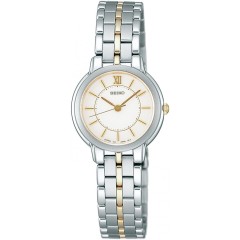 Seiko Spirit SSDA002