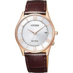 Citizen COLLECTION AS1062-08A