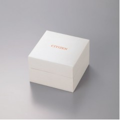 Citizen COLLECTION PC1006-50Y