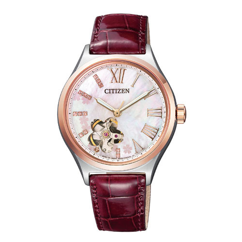 Citizen COLLECTION PC1006-50Y