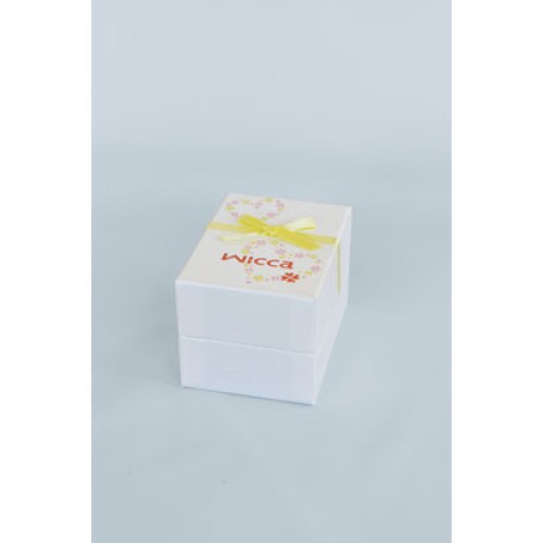 Citizen WICCA KL0-669-13