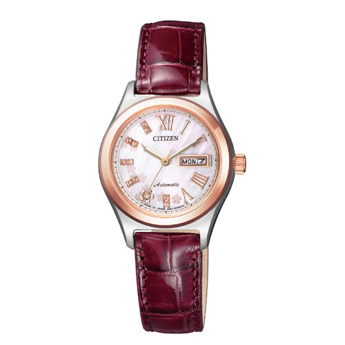Citizen COLLECTION PD7166-54Y