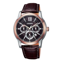 Citizen Collection NB2004-18W