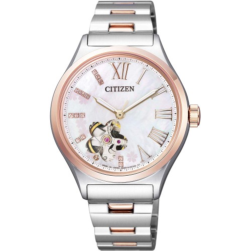 Citizen COLLECTION PC1006-50Y