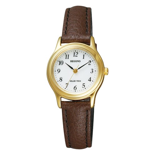 Citizen Reguno RS26-0031C