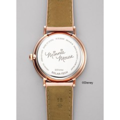 Citizen REGUNO KP3-163-10