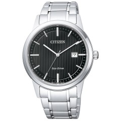 Citizen Collection AW1231-66E
