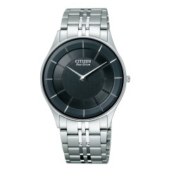 Citizen Collection AR3010-65E