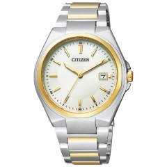 Citizen Collection BM6664-67P