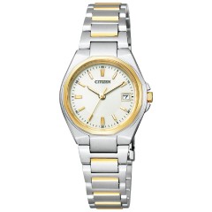 Citizen Collection EW1384-66P