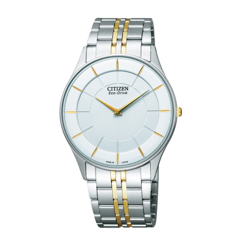 Citizen Collection AR3014-56A
