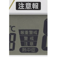 Citizen Rhythm  4FY623SR06