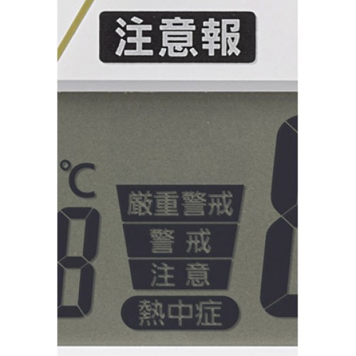 Citizen Rhythm  4FY623SR06