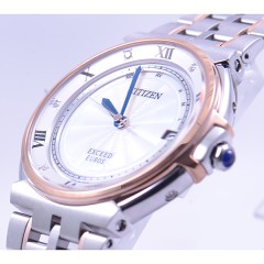 Citizen EXCEED AS7076-51A