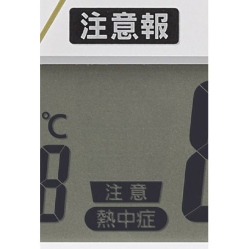 Citizen Rhythm  4FY623SR06