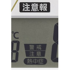 Citizen Rhythm  4FY623SR06