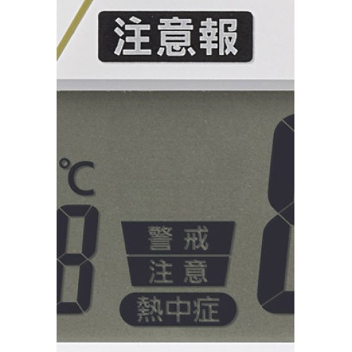 Citizen Rhythm  4FY623SR06