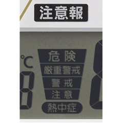 Citizen Rhythm  4FY623SR06