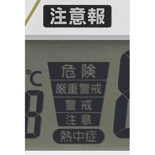 Citizen Rhythm  4FY623SR06