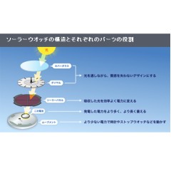 Seiko SPIRIT SBTM157