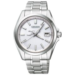 Citizen The Citizen AQ1040-53A