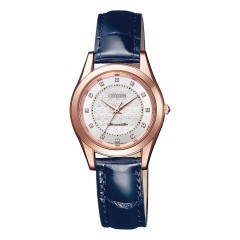 Citizen The Citizen Chronomaster EB4002-04Y