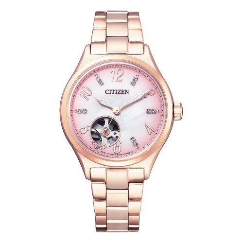 Citizen Collection PC1005-87X