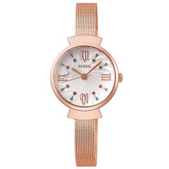 Seiko Wired F Candy Case AGEK458