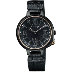 Citizen BLUETOOTH EE4058-19E