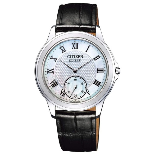 Citizen Exceed AQ5000-13D