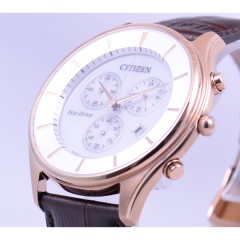 Citizen COLLECTION AT2362-02A