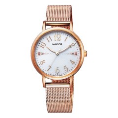 Citizen Wicca KP5-166-13