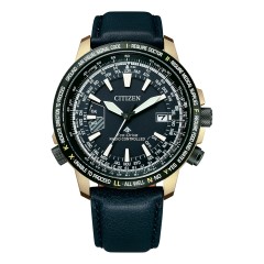 Citizen Promaster Eco-Drive Radio Clock Direct Flight CB0204-14L