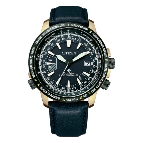 Citizen Promaster Eco-Drive Radio Clock Direct Flight CB0204-14L