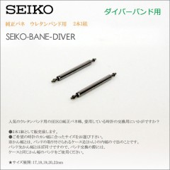 Seiko 21MM PINS